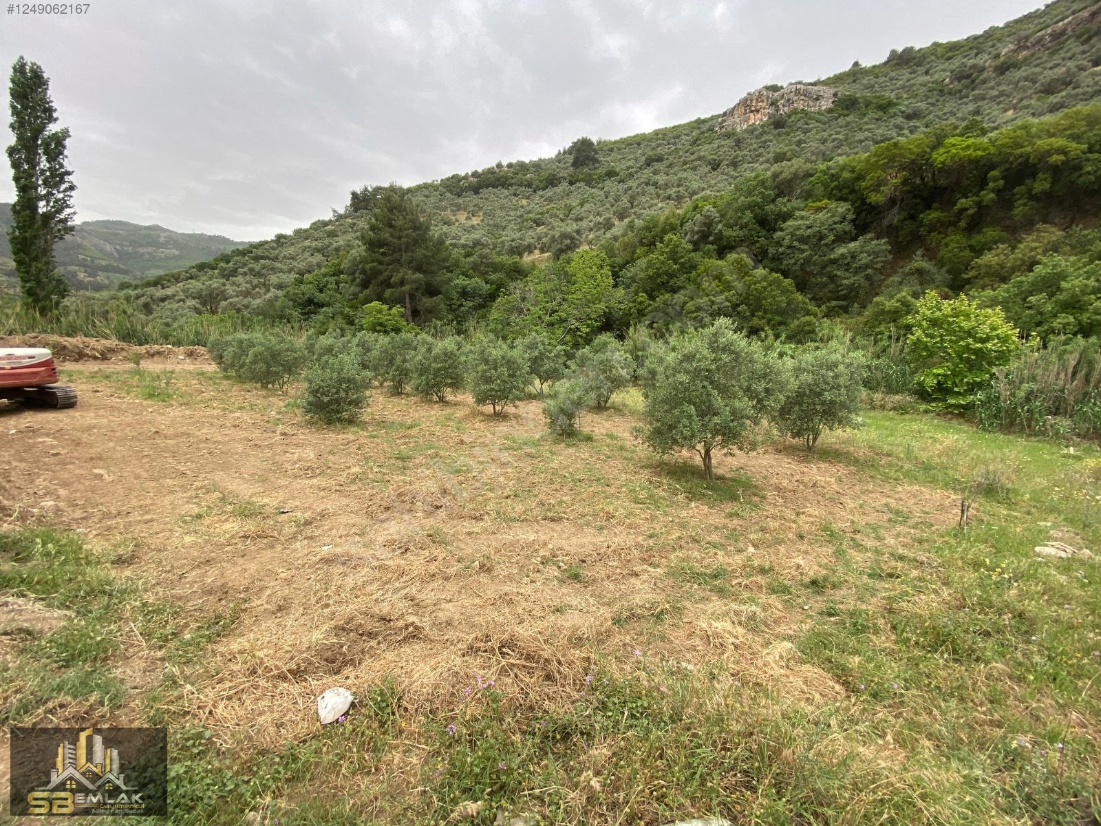 SB EMLAK OFİSİNDEN AKYURT MAHALLESİ SATILIK TARLA(HOBİ BAHÇESİ) - İZMİR TİRE fotoğraf 4