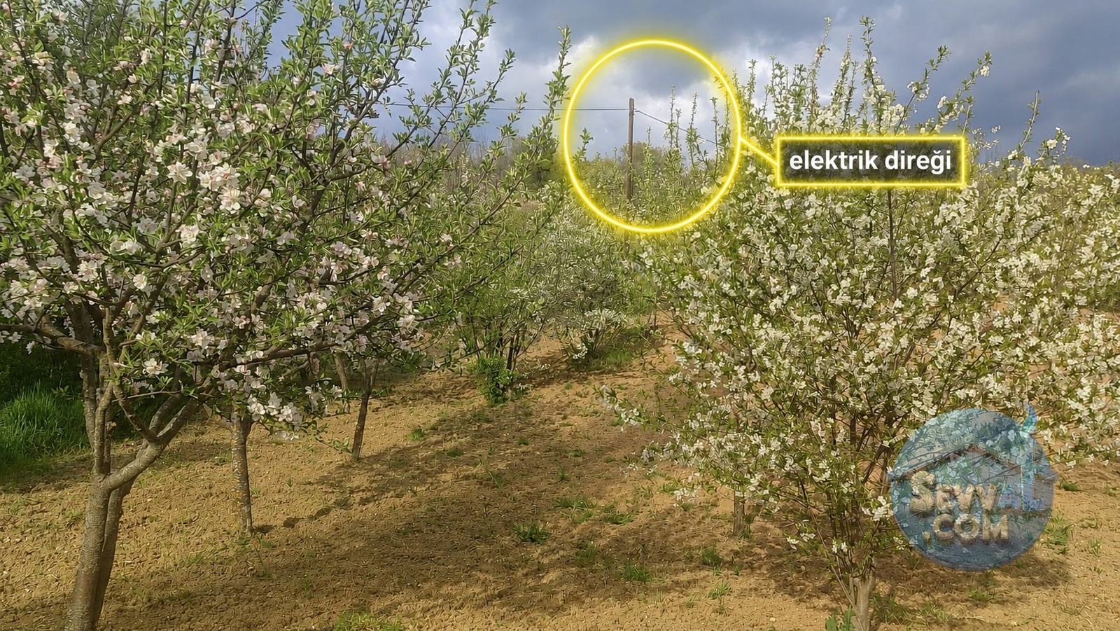 Satılık 579m² Meyve Bahçesi (Kütahya/Şaphane Karaağıl Mah.) - Kütahya Şaphane fotoğraf 12