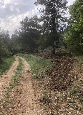 BURSA KELEŞ  BELENÖREN'DE 825 M²  TARLA  SATILIKTIR. - BURSA KELES fotoğraf 6