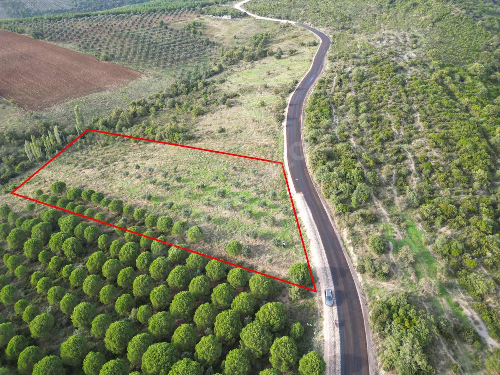 BURSA KARACABEY DOĞLA 'DA 8.600  M²  TARLA  SATILIKTIR. - BURSA KARACABEY fotoğraf 9