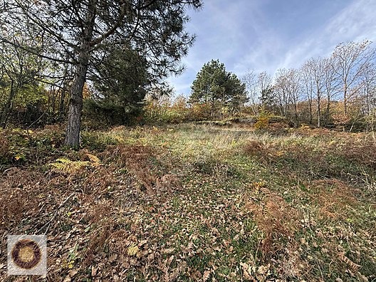 KESTEL LÜTFIYE MH SATILIK 1806M2 TARLA ASVALT YOLA CEPHE - BURSA KESTEL fotoğraf 21