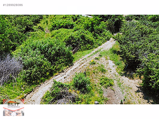 SAKARYA KARASU'DA SATILIK FRSAT KÖY İÇİNDE 635 metre² KUPON ARSA - SAKARYA KARASU fotoğraf 20