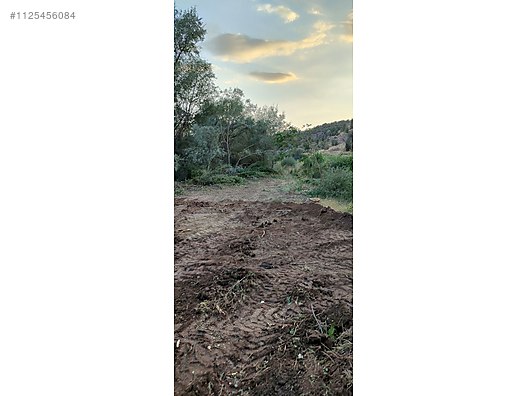 ANKARA ELMADAĞ KUŞÇUALİ KÖYÜNDE 647 M² TARLAMIZ  SATILIKTIR - ANKARA ELMADAĞ fotoğraf 8