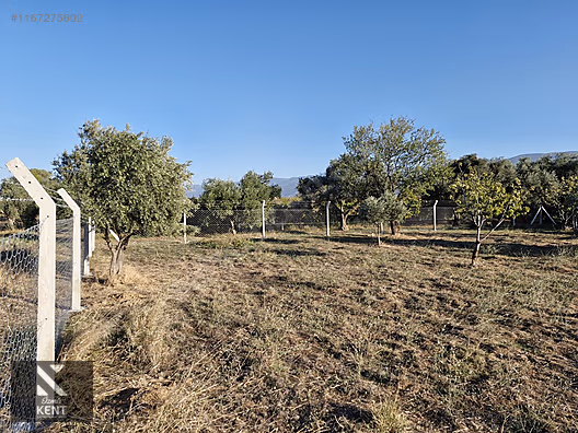 Kemalpaşa Armutlu Satılık 2300 m2 Bahçe Müstakil Parsel Tek Tapu - İZMİR KEMALPAŞA fotoğraf 41