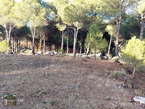 BERGAMA KOZAK YAYLASI AŞACUMA MAH. LESİNDE 1110 M2 FISTIKLIK - İZMİR BERGAMA fotoğraf 3