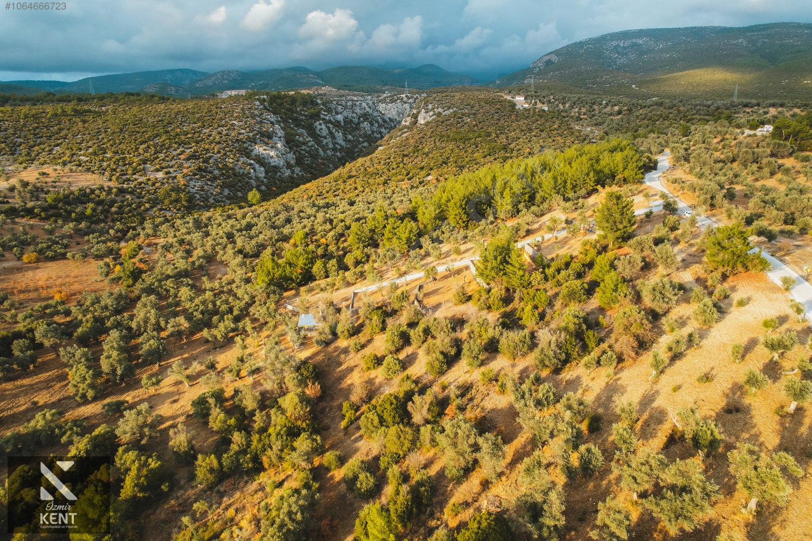 Kemalpaşa Yenmiş Satılık Bahçe 610 m2 - İZMİR KEMALPAŞA fotoğraf 25