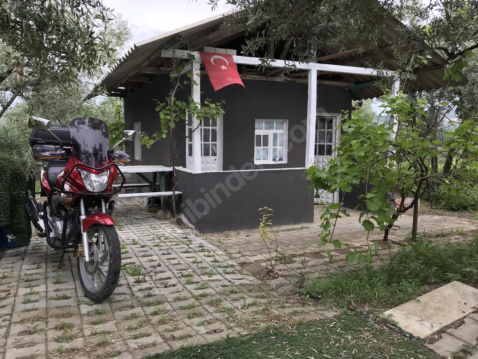 BURSA MUDANYA DEREKÖY KÖYÜNDE 3.673 M² ZETİNLİK SATILIKTIR. - BURSA MUDANYA fotoğraf 20