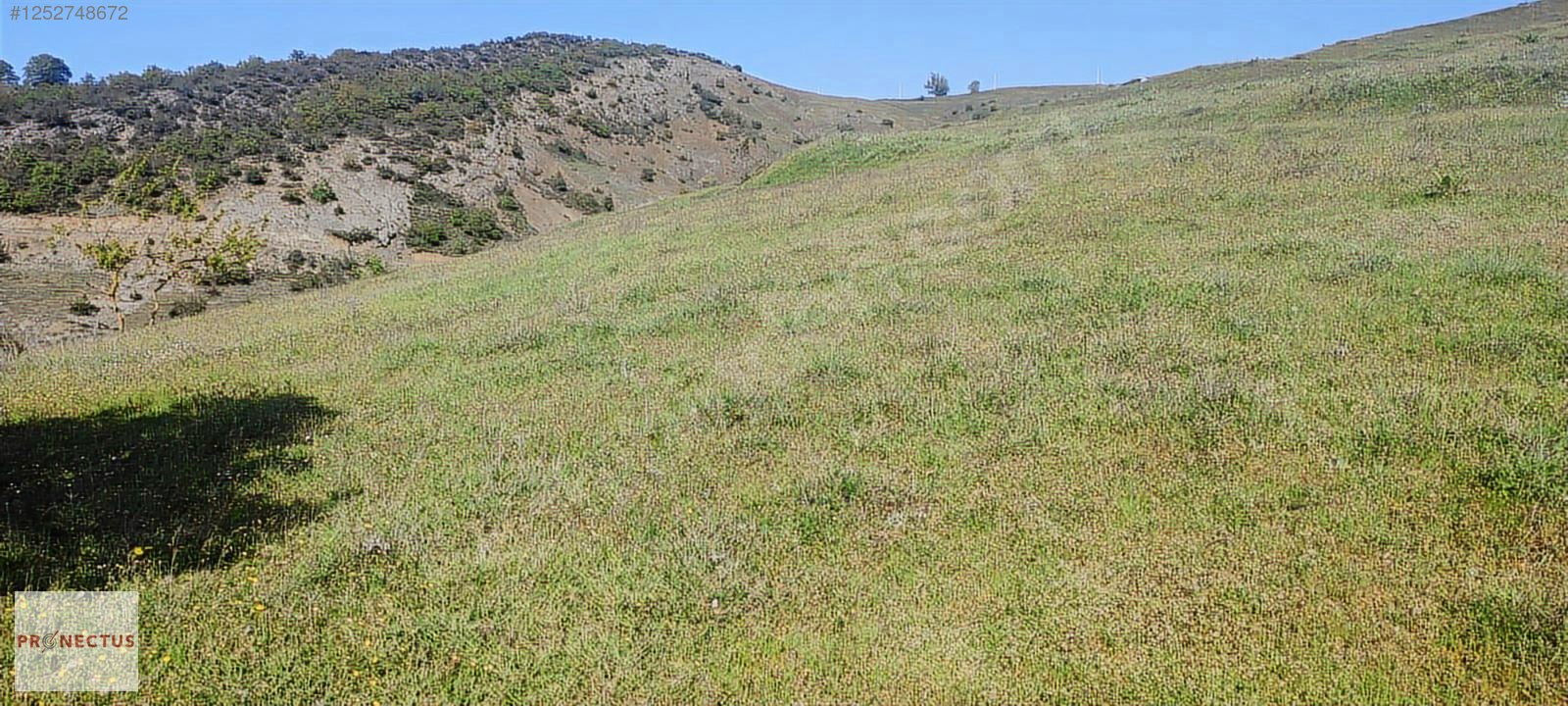FULACIK MAHALLESİ'NDE RESMİ YOLA CEPHE SATILIK 3516 M2 ARSA - KOCAELİ KARAMÜRSEL fotoğraf 8