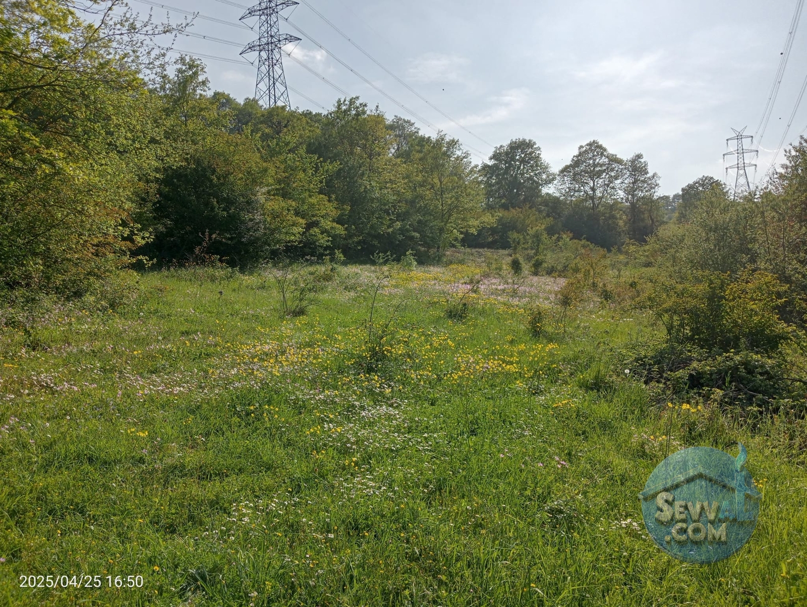 KOCAELİ KANDIRADA ARAÇ TAKASINA UYGUN 1.069 M² TARLA SATILIKTIR - Kocaeli Kandıra fotoğraf 20