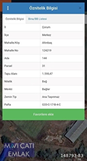 ALTINBAŞ KÖYÜNDE BAĞ VASFINDA TEK TAPU SATILK BAĞ - ÇORUM MERKEZ fotoğraf 2