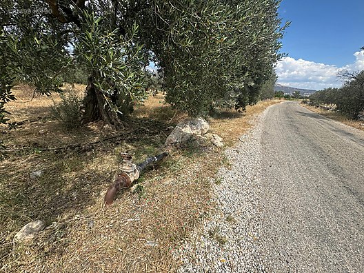   MERSİN MUT YAPINTI KÖYÜ 905M² HİSSESİZ ZEYTİN BAHÇEMİZ SATILIKTIR.  - MERSİN MUT fotoğraf 9