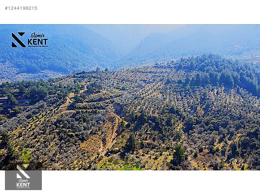 Kemalpaşa Yukarıkızılca Satılık 335 m2 Bahçe - İZMİR KEMALPAŞA fotoğraf 29