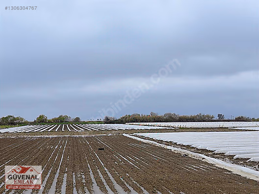 EGEMEN MAH. DE 5823 M2 TEK TAPULU YOL CEPHELİ ŞAHANE ARAZİ - MERSİN TARSUS fotoğraf 5