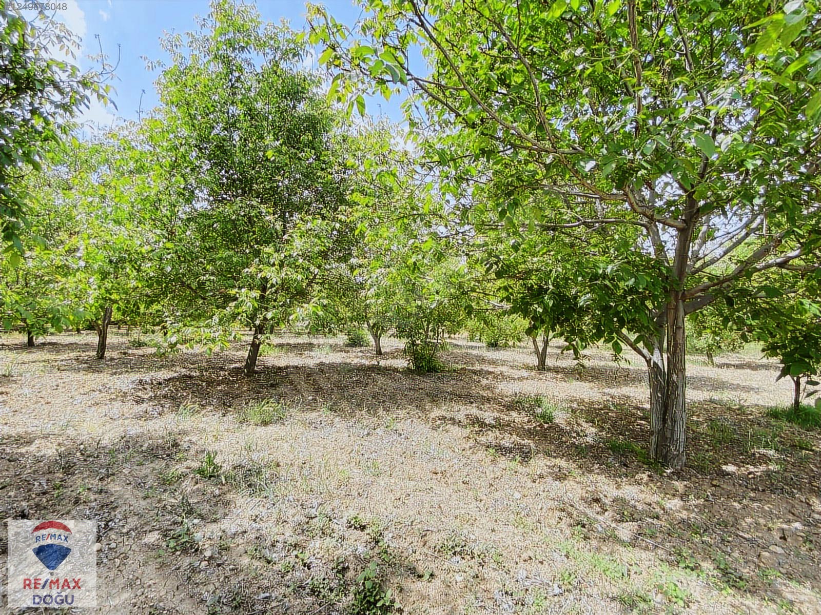 REMAX DOĞUDAN SARIÇUBUKTA SATILIK 7330M2 ÇİFTLİK - ELAZIĞ MERKEZ fotoğraf 7