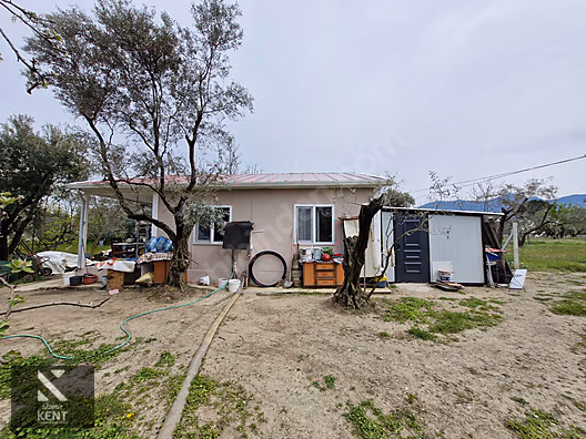 Kemalpaşa M.Akif Ersoy Satılık 7.250 m2 Bahçe Tek Tapu - İZMİR KEMALPAŞA fotoğraf 40
