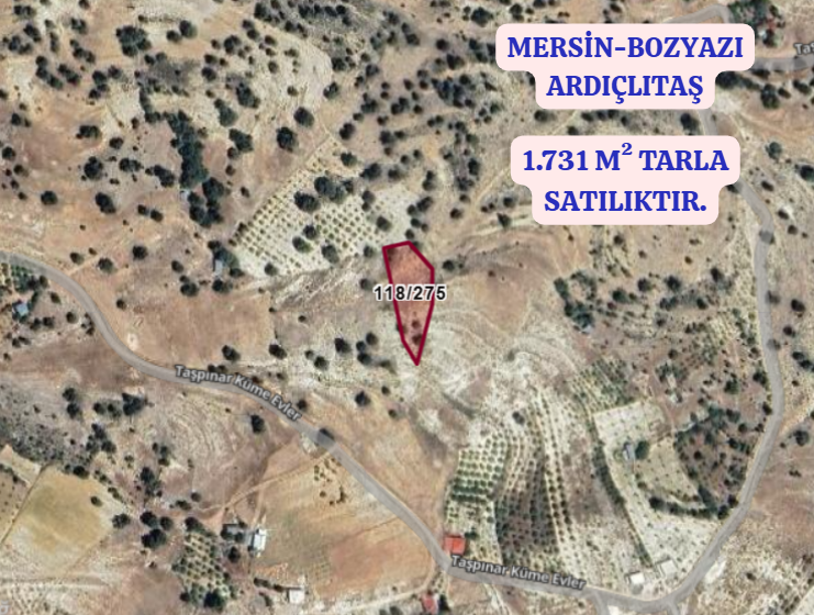 MERSİN BOZYAPI ARDIÇLITAŞ  KÖYÜNDE 1.731  M² TARLA  SATILIKTIR - MERSİN BOZYAZI fotoğraf 2