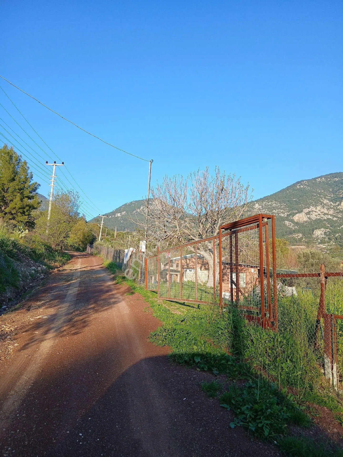 Erentepe Mahallesi Satılık Bahçe - ANTALYA KUMLUCA fotoğraf 10