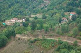 ARAÇ TAKASLI 3.150 M2, İLÇEYE 5 DK MESAFEDE YATIRIM FIRSATI - BİLECİK SÖĞÜT fotoğraf 2