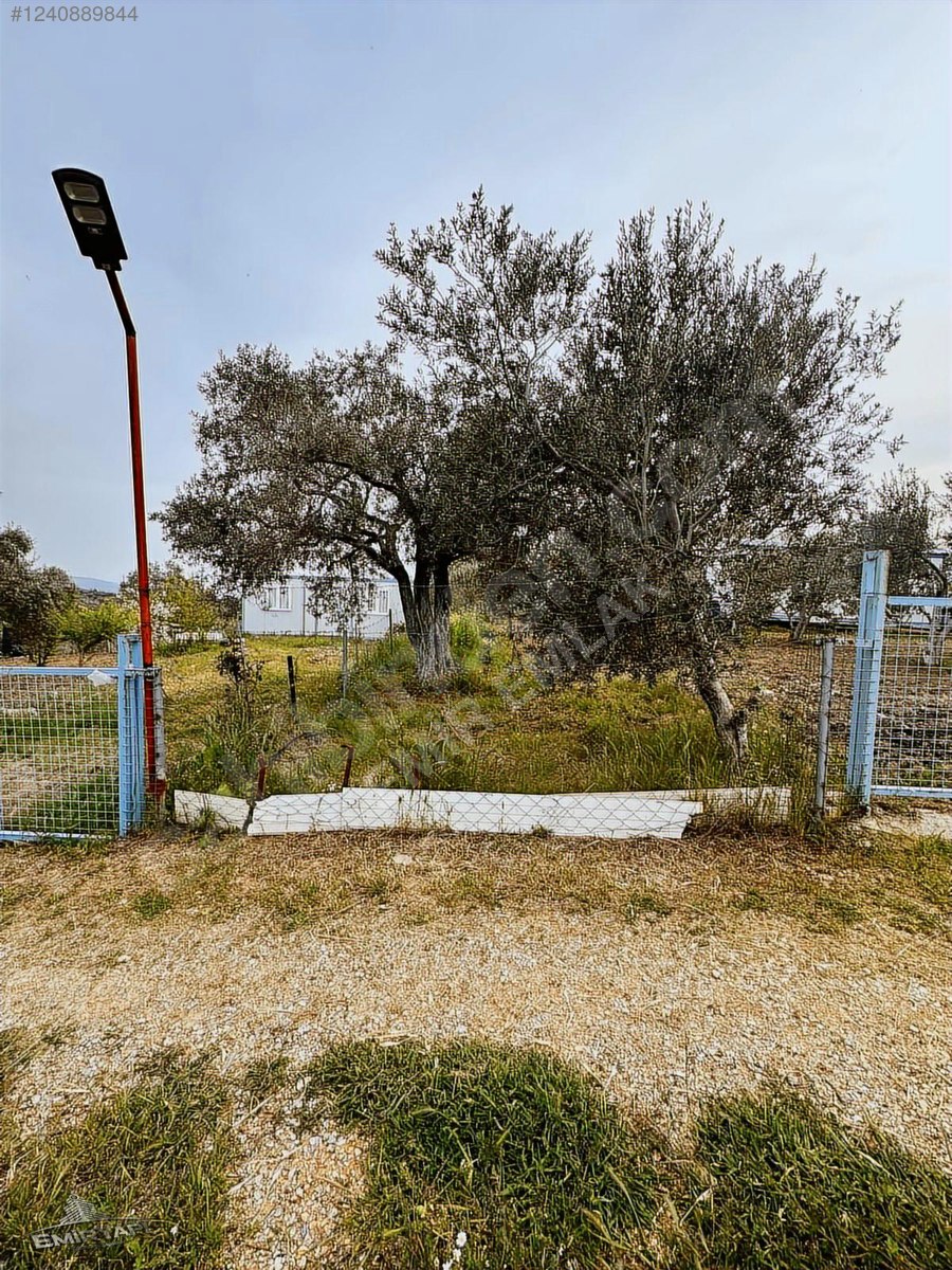 EMİR EMLAK GAYRİMENKUL DEN SATILIK HOBİ BAHÇESİ - İZMİR KEMALPAŞA fotoğraf 12