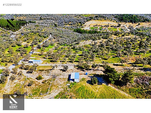 Kemalpaşa Vişneli Satılık 370 m2 Bahçe Elektrik Su Yol - İZMİR KEMALPAŞA fotoğraf 21