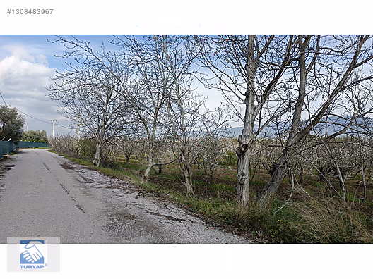 Kemalpaşa M.Akif Ersoy Mah. Satılık 4202m2 Bahçe - İZMİR KEMALPAŞA fotoğraf 16