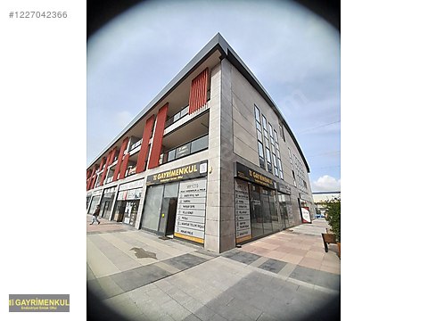SAVAŞTEPE KARACALARDA OTURUMLUK YATIRIMLIK DÜMDÜZ 11 DÖNÜM MÜLK - BALIKESİR SAVAŞTEPE fotoğraf 2