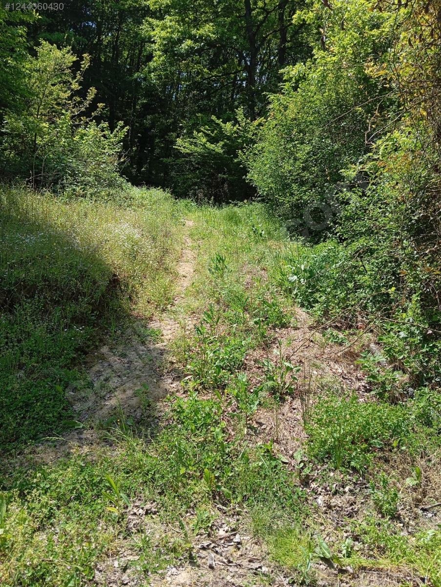 BURSA M.KEMALPAŞA MURADİYESARNIÇ  KÖYÜNDE 281  M² BAHÇE  SATILIKTIR - BURSA MUSTAFAKEMALPAŞA fotoğraf 14