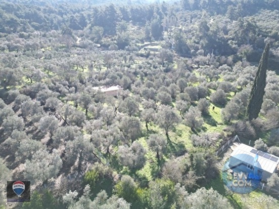 Kuşadası Kirazlıda fırsat bahçe - AYDIN KUŞADASI fotoğraf 11