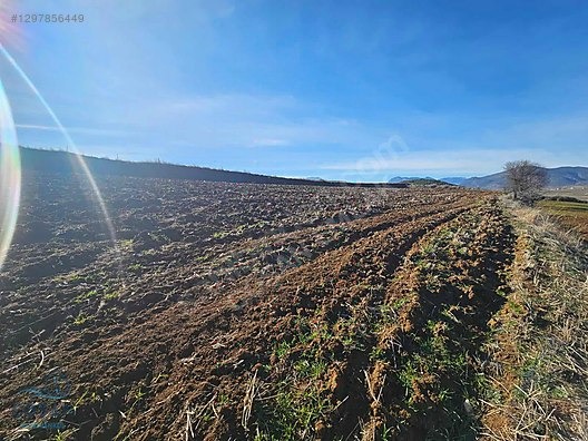 Bucak Seydiköy'de Göl Manzaralı 20 Dönüm Satılık Tarla - BURDUR BUCAK fotoğraf 6