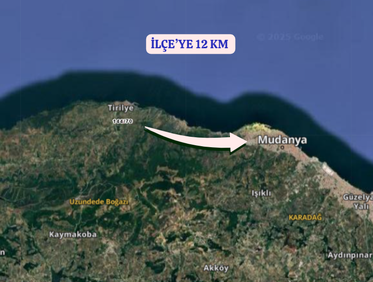 BURSA MUDANYA TİRİLYE (TALATBEY)  KÖYÜNDE 3.057 M²  ZEYTİNLİK SATILIKTIR - BURSA MUDANYA fotoğraf 6