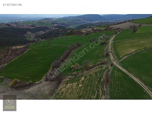 SAMSUN VEZİRKÖPRÜ ÇAMLIDERE'DE 6.670 M2 UYGUN ARSA - SAMSUN VEZİRKÖPRÜ fotoğraf 16