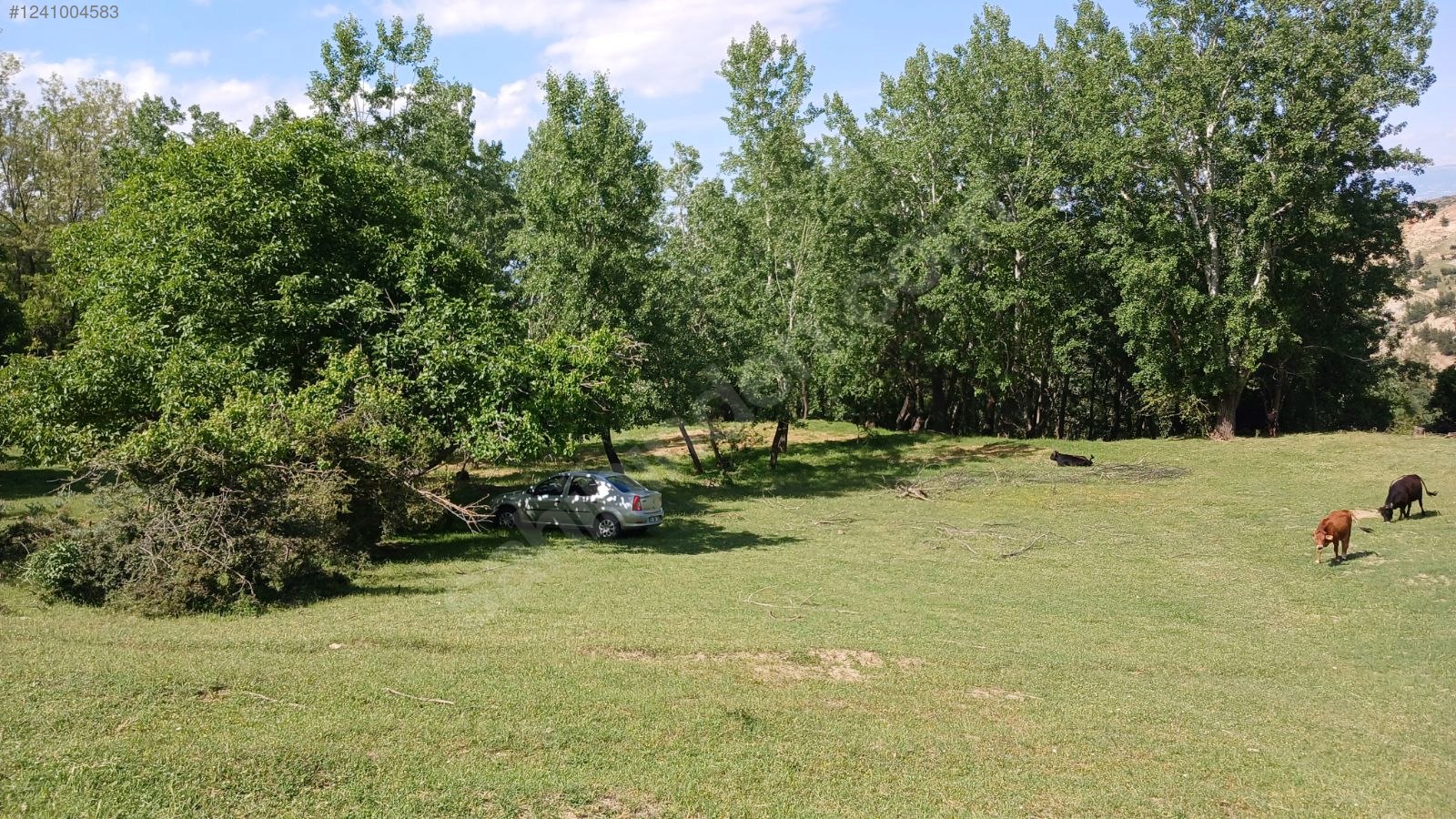 DENİZLİ BABADAĞ KELLECİ KÖYÜNDE  1.586 M²  BAĞ SATILIKTIR - DENİZLİ BABADAĞ fotoğraf 25