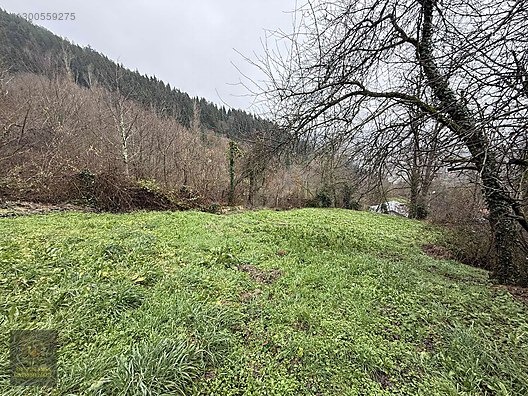KASTAMONU KÜRE GÜLLÜCE 'DE KÖY İÇİNDE 798 M2 İMARLI UYGUN ARSA - KASTAMONU KÜRE fotoğraf 9