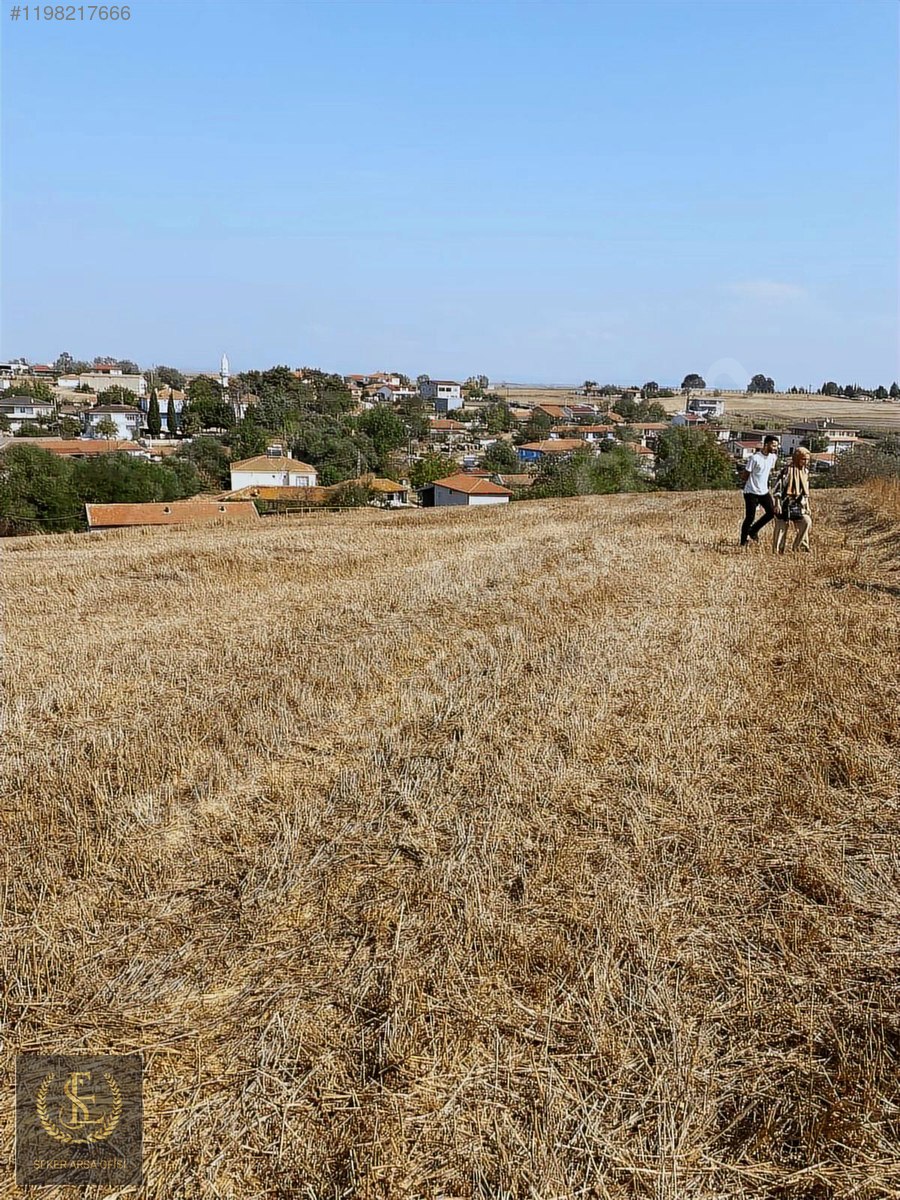 Tekirdağ saray yuvali 290m2 beton kaziklari çakılmiş düz zemin - TEKİRDAĞ SARAY fotoğraf 4