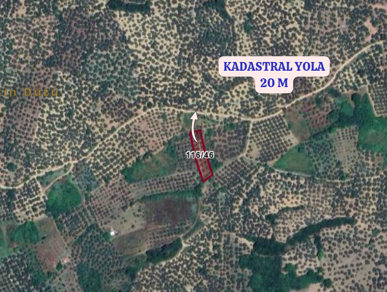 BURSA MUDANYA TİRİLYE  KÖYÜNDE 1.072 M² ZEYTİNLİK SATILIKTIR. - BURSA MUDANYA fotoğraf 4