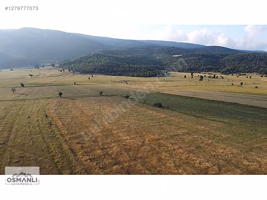 HİSARCIK'TA 4.675 M2 KÖŞE PARSEL YATIRIM FIRSATI - BİLECİK OSMANELİ fotoğraf 2