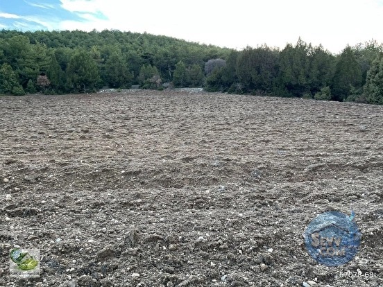 🚨 KÜTAHYA / AKÇAMESCİT'TE KÖYÜN ÜSTÜNDE 4.548 M² HARİKA ARAZİ 🚨 - KÜTAHYA MERKEZ fotoğraf 18