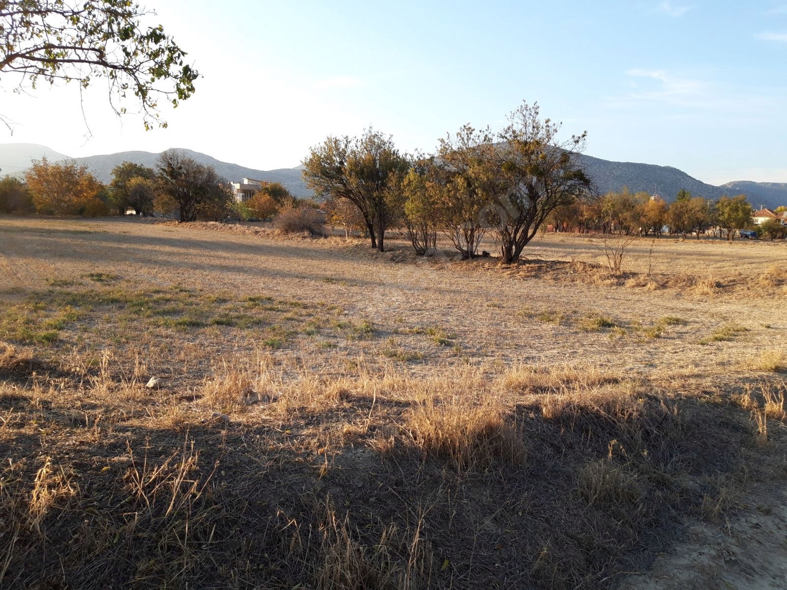 AMTALYA KORKUTELI LEYLEK MAHALLESİNDE KÖY İÇİ ARSA 922 m² - ANTALYA KORKUTELİ fotoğraf 5