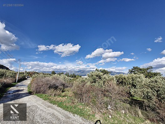 Kemalpaşa Soğukpınar Satılık 325 m2 İmar Sınırında Bahçe - İZMİR KEMALPAŞA fotoğraf 18