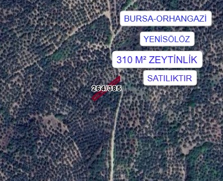 BURSA ORHANGAZİ YENİSÖLÖZ MAH. 310M² ZEYTİNLİK SATILIK - BURSA ORHANGAZİ fotoğraf 3