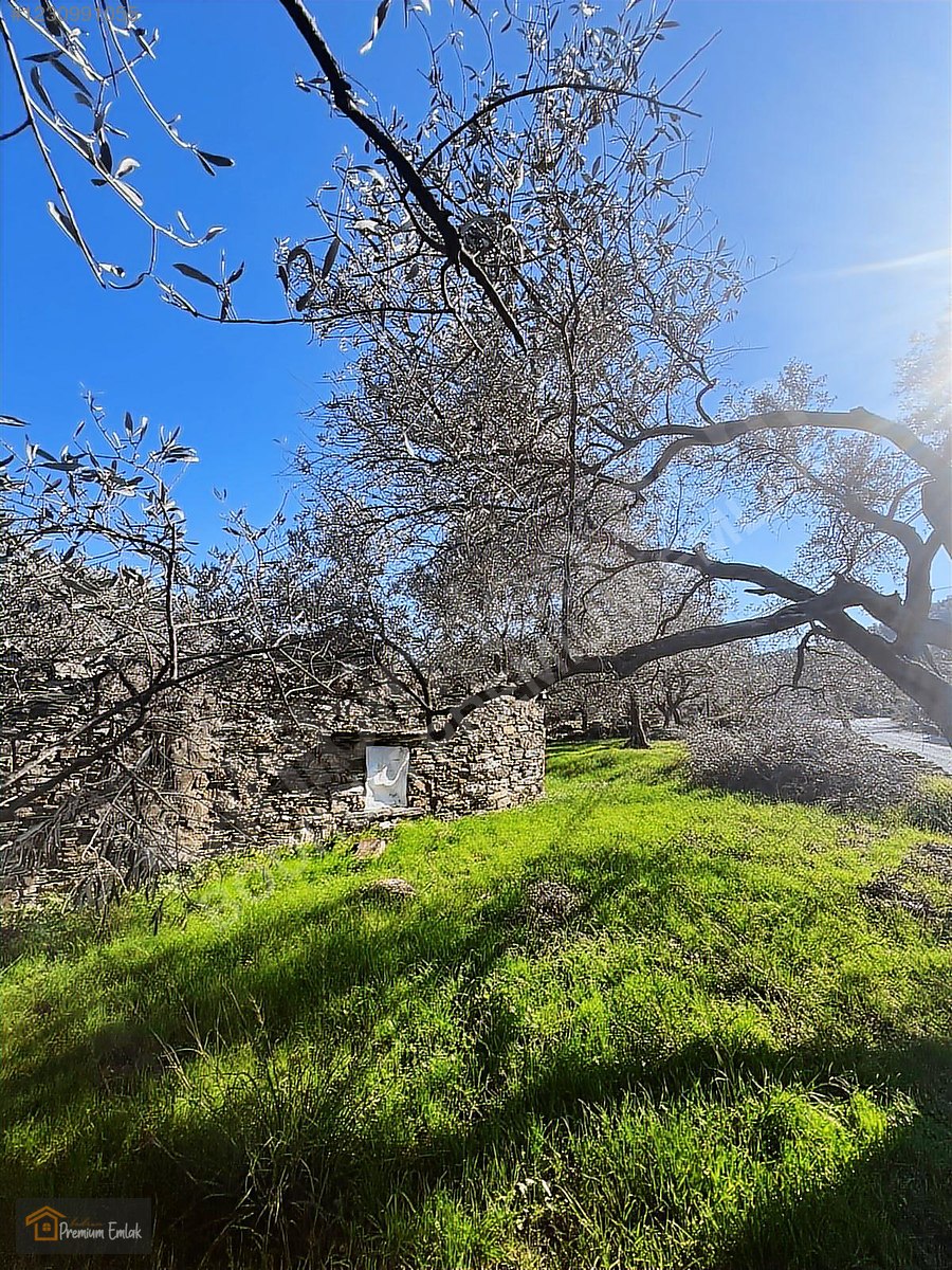 MİLAS KARACAHİSARDA KÖY İÇİ KAĞİR EV VE 980 M2 ARSASI - MUĞLA MİLAS fotoğraf 20
