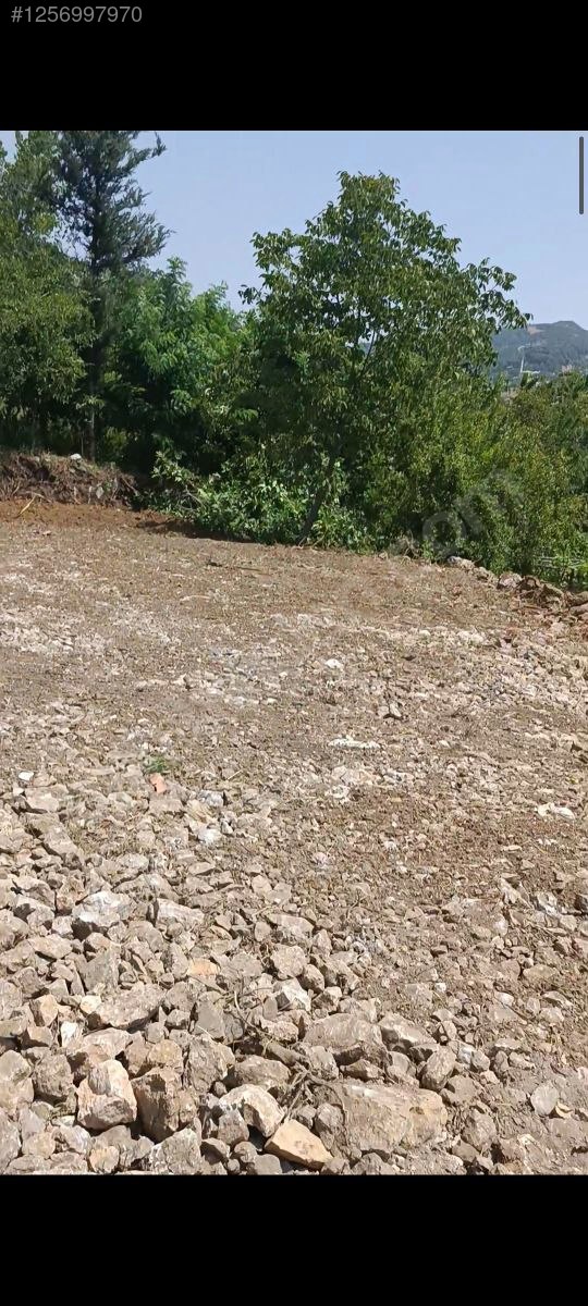 KAHRAMANMARAŞ ANDIRIN KABAKLAR KÖYÜNDE 260 M²  BAHÇE SATILIKTIR - KAHRAMANMARAŞ ANDIRIN fotoğraf 7