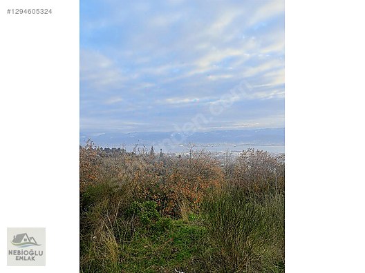 NEBİOĞLU EMLAKTAN ÇINARLI MAH.DENİZ MANZARALI 2265m2 TARLA - KOCAELİ DERİNCE fotoğraf 15