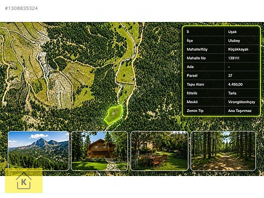 UŞAK ULUBEY KÜÇÜKKAYALI'DA 4450 M² SATILIK TARLA