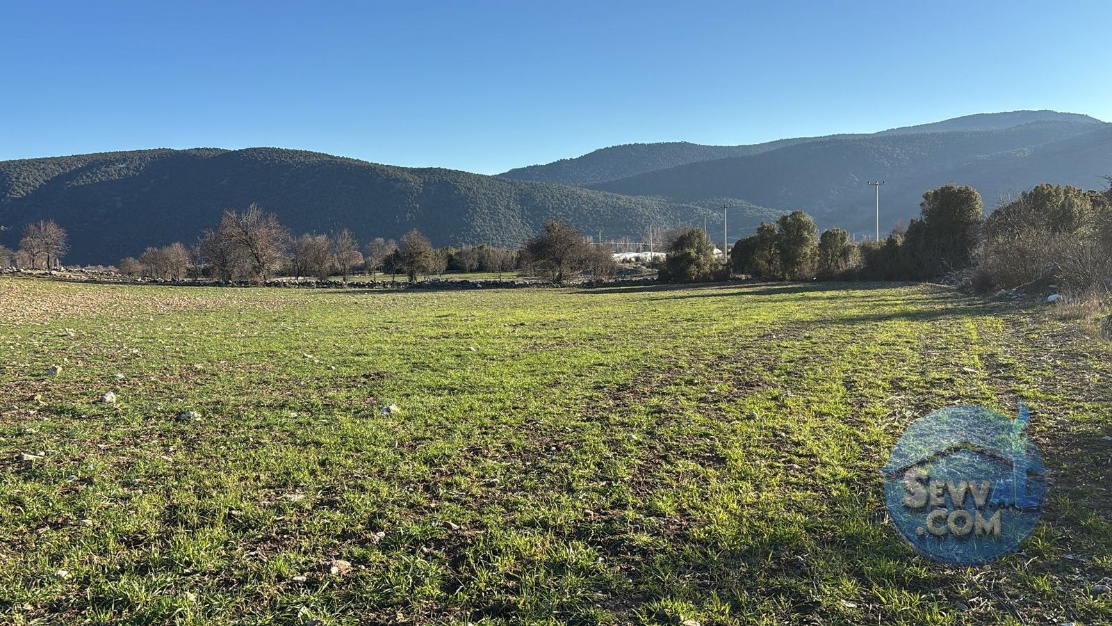 BURDUR-AĞLASUN YAZIR KÖYÜNDE YATRIMLIK FIRSAT TARLA - Burdur Ağlasun fotoğraf 24