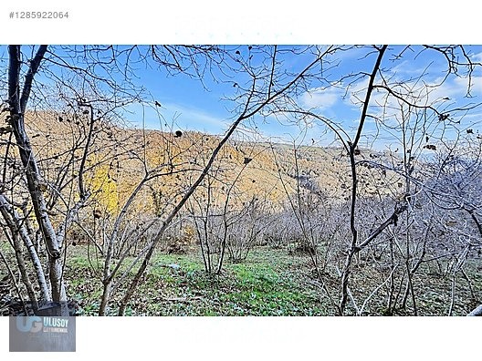 4,5 DÖNÜM FINDIK TARLASI - BARTIN MERKEZ fotoğraf 22