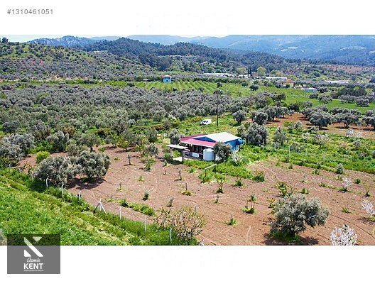 Kemalpaşa Halilbeylide Satılık 3000 m2 Bahçe 40 m2 Ev - İZMİR KEMALPAŞA fotoğraf 24