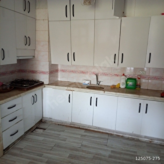 perşembe ramazan mahallesinde satılık köy evi ve arazisi. - ORDU PERŞEMBE fotoğraf 5