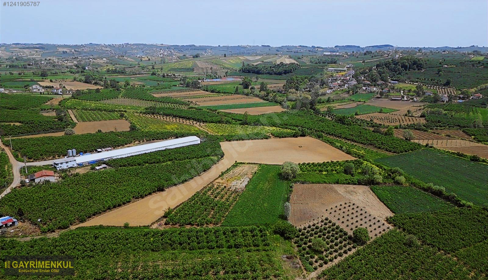 11.752 M² FIRSAT FINDIK BAHÇESİ SAKARYA KAYNARCA ZİAHMET MAH. - SAKARYA KAYNARCA fotoğraf 43
