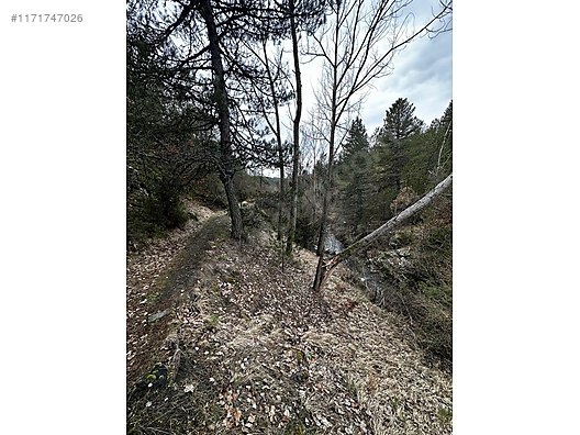 BURSA KELES KİRAZLI KÖYÜNDE 1.305  M² BAHÇE SATILIKTIR - BURSA KELES fotoğraf 8